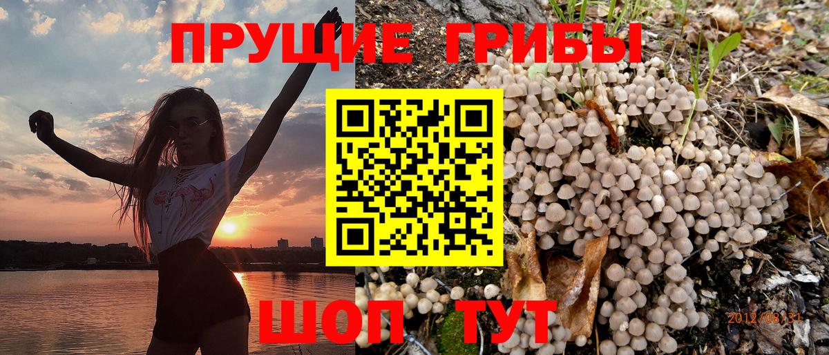 Галлюциногенные грибы Psilocybine cubensis  Галлюциногенные грибы MAGIC MUSHROOMS  Вход с VPN  Кстово 