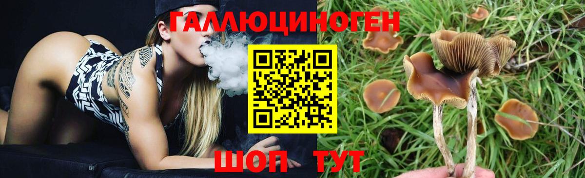 Галлюциногенные грибы MAGIC MUSHROOMS Кстово